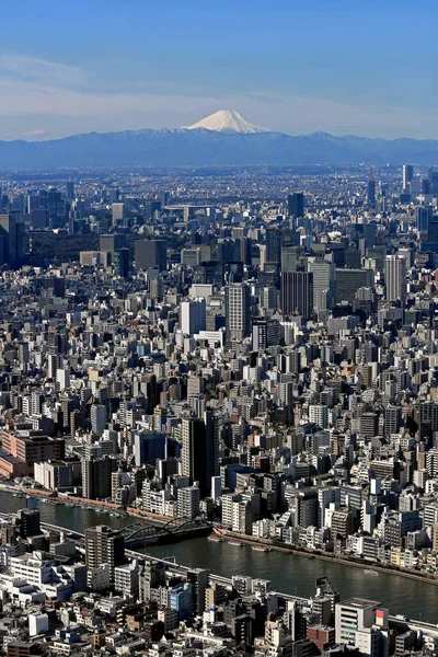 東京都心の景色と東京スカイツリーからの富士山 — ストック写真