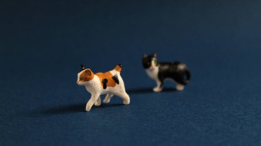 Şirin kedi minyatür, natürmort.