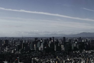 Tokyo 'daki Otemachi' nin tek renkli manzarası Tokyo Gökyüzü Ağacı 'nın gözlemevinden görülüyor.
