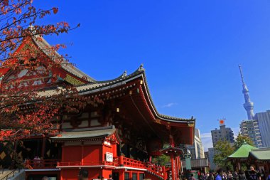 Japonya, Tokyo 'daki 25 Kasım 2019 Sensoji Tapınağı. M.Ö. 645 yılında inşa edilen Tokyo' daki en eski Budist tapınağı, birçok tapan ve turistin yaşadığı bir turistik merkezdir..