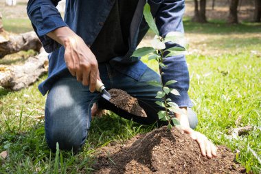 Genç adam çevre kavramını, doğayı, dünyayı, ekolojiyi korumak ve hava kirliliğini azaltmak için bahçeye ağaç dikiyor..