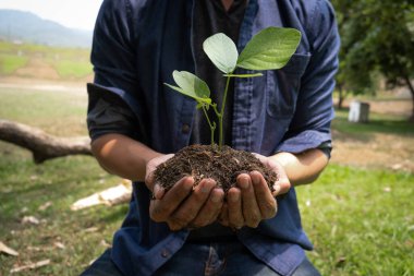 Çevre kavramını, doğayı, dünyayı, ekolojiyi korumak ve hava kirliliğini azaltmak için tohum ağacını bahçeye eken genç adam..