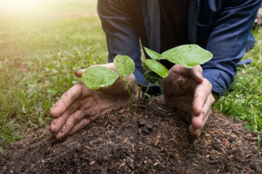 Genç adam çevre kavramını, doğayı, dünyayı, ekolojiyi korumak ve hava kirliliğini azaltmak için bahçeye ağaç dikiyor..
