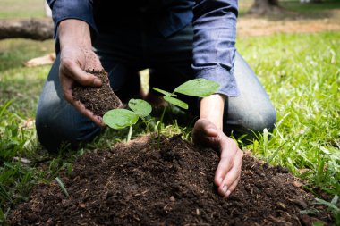 Genç adam çevre kavramını, doğayı, dünyayı, ekolojiyi korumak ve hava kirliliğini azaltmak için bahçeye ağaç dikiyor..