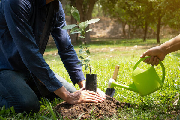 Two young men planting trees in the garden to preserve environment concept, nature, world, ecology and reduce air pollution.