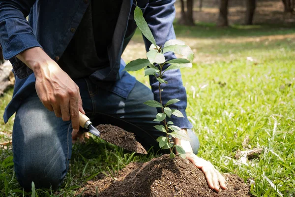 젊은이는 생태학 오염을 줄이기 정원에 나무를 — 스톡 사진