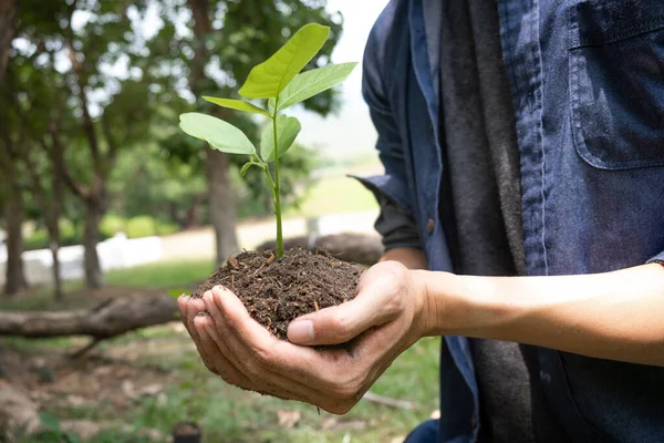 那个拿着种子树的年轻人要在花园里种树 以保护环境的概念 生态和减少空气污染 — 图库照片