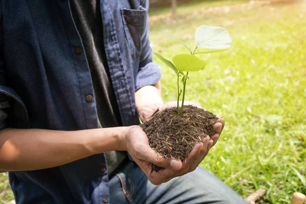 那个拿着种子树的年轻人要在花园里种树 以保护环境的概念 生态和减少空气污染 — 图库照片