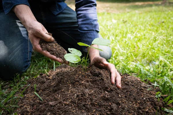 Den Unge Mannen Planterar Trädet Trädgården För Att Bevara Miljö — Stockfoto