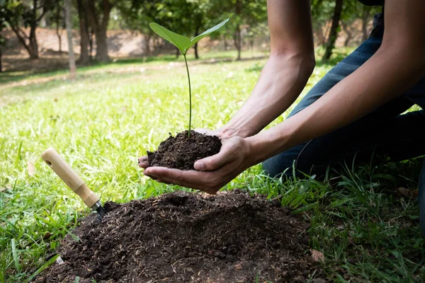 Joven Está Plantando Árbol Jardín Para Preservar Concepto Medio Ambiente — Foto de Stock