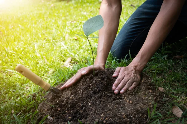 Jovem Está Plantando Árvore Jardim Para Preservar Conceito Ambiente Natureza — Fotografia de Stock