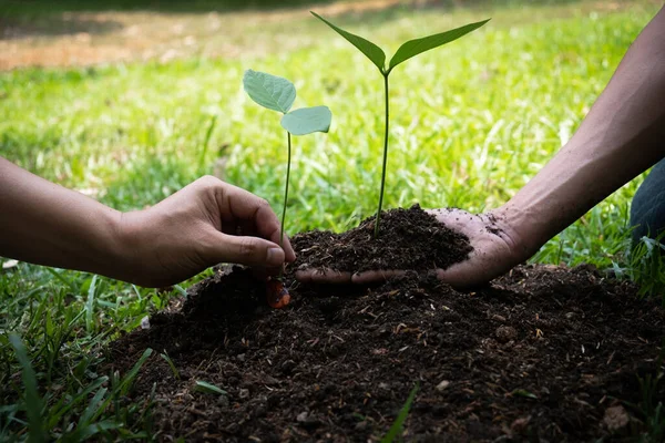 Dois Jovens Plantando Árvores Jardim Para Preservar Conceito Meio Ambiente — Fotografia de Stock