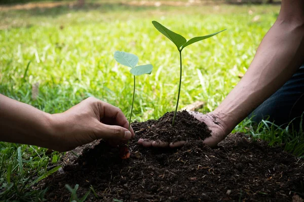 Två Unga Män Planterar Träd Trädgården För Att Bevara Miljö — Stockfoto