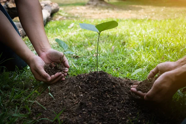 Dois Jovens Plantando Árvores Jardim Para Preservar Conceito Meio Ambiente — Fotografia de Stock