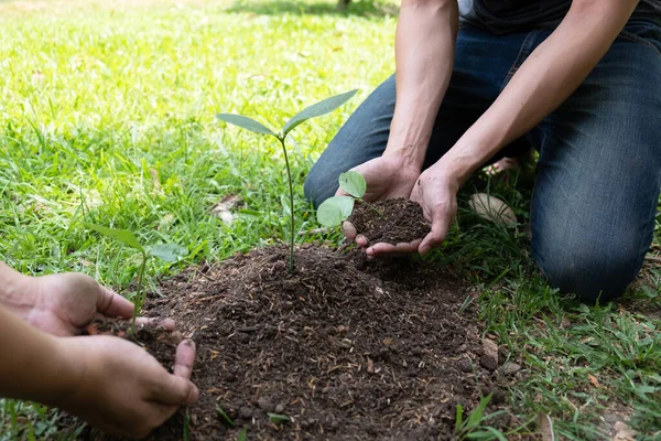 Dois Jovens Plantando Árvores Jardim Para Preservar Conceito Meio Ambiente — Fotografia de Stock