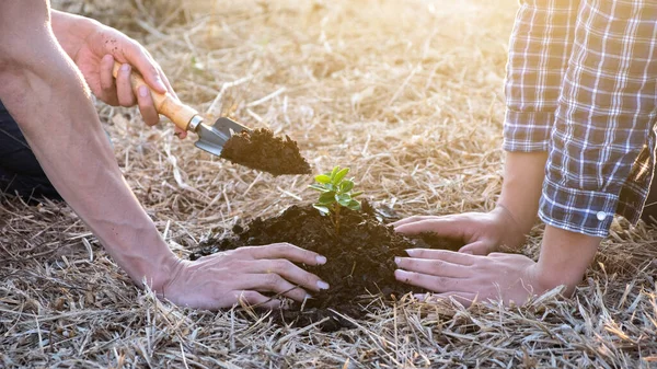 Dois Jovens Plantando Árvore Jardim Para Preservar Conceito Ambiente Natureza — Fotografia de Stock