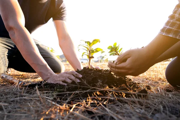 Två Unga Män Planterar Träd Trädgården För Att Bevara Miljö — Stockfoto