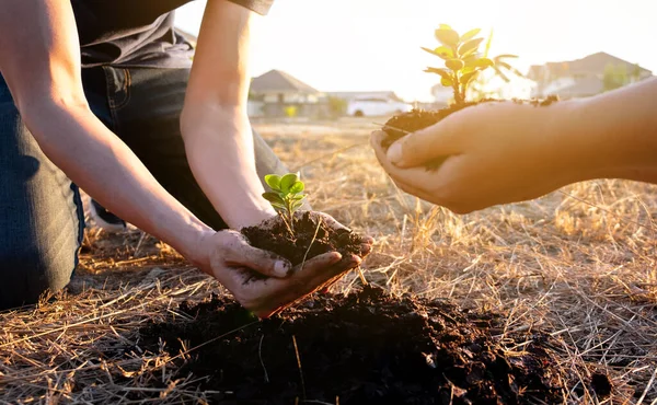 Dos Jóvenes Plantando Árboles Jardín Para Preservar Concepto Medio Ambiente Fotos De Stock