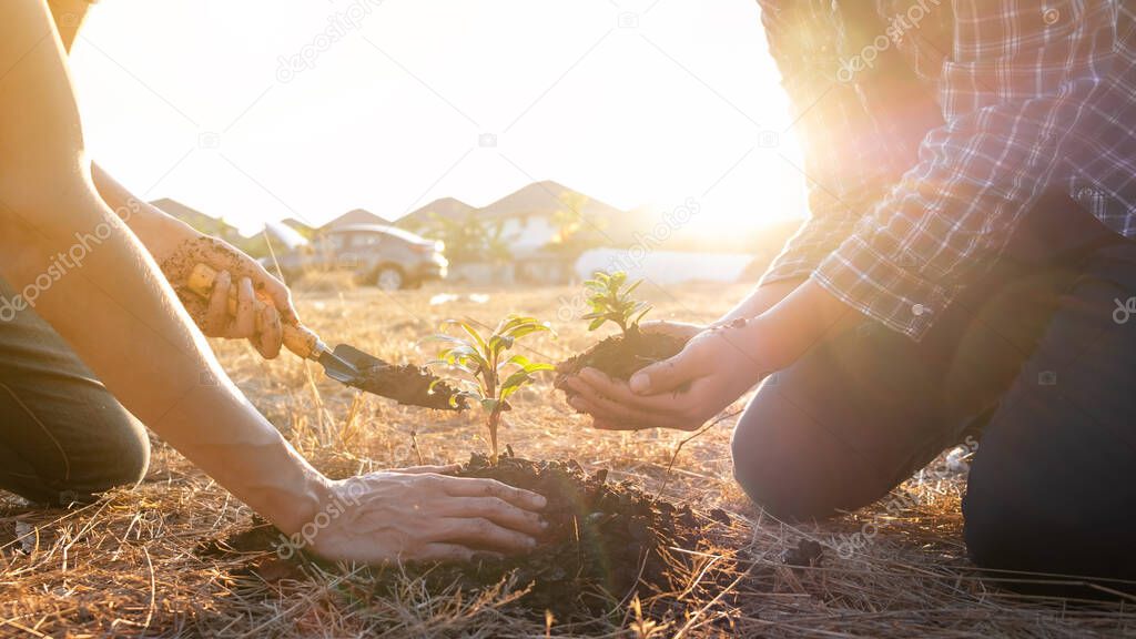 Two young men planting tree in the garden to preserve environment concept, nature, world, ecology and reduce air pollution.