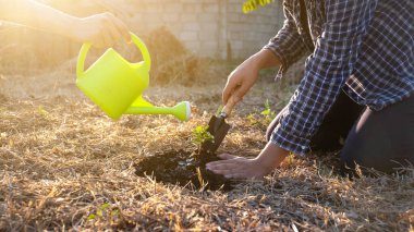 İki genç adam çevre kavramını, doğayı, dünyayı, ekolojiyi korumak ve hava kirliliğini azaltmak için bahçeye ağaç dikiyor..