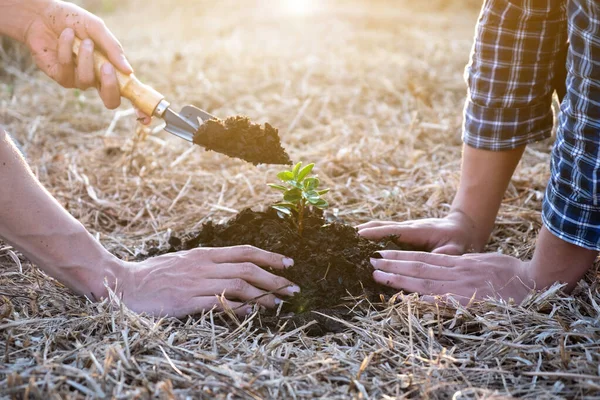 Dois Jovens Plantando Árvore Jardim Para Preservar Conceito Ambiente Natureza — Fotografia de Stock