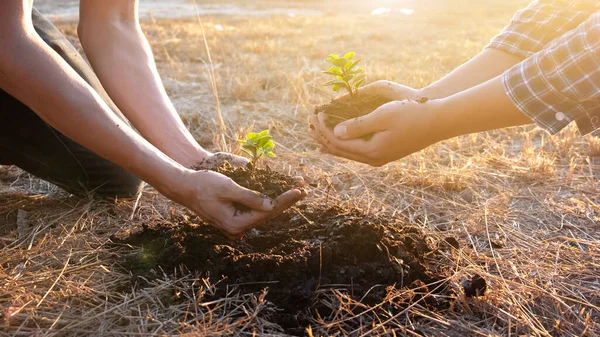 Dos Jóvenes Plantando Árboles Jardín Para Preservar Concepto Medio Ambiente — Foto de Stock