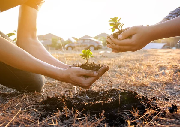 Dos Jóvenes Plantando Árboles Jardín Para Preservar Concepto Medio Ambiente Imagen De Stock