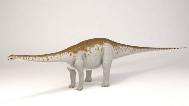 Apatosaurus - dinozor