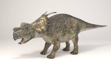 Achelousaurus - dinozor