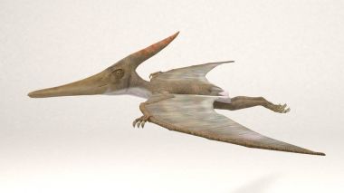 Pteranodon - dinozor