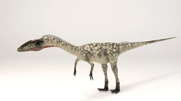 A Coelophysis - dinoszaurusz — Stock Fotó