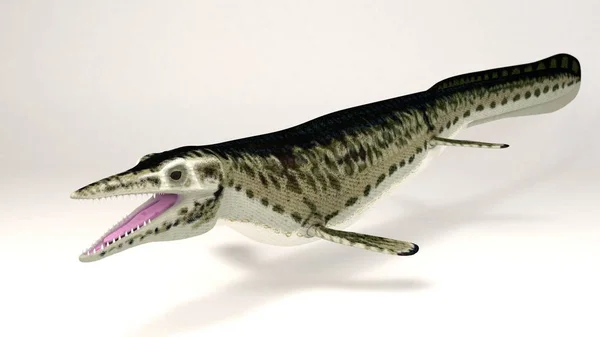 Mosasaur - dinosaurus Stock Fotografie