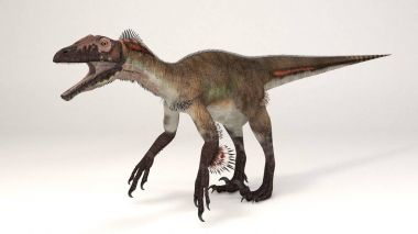 Utahraptor tüyleri-dinozor