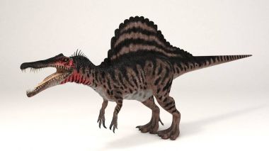 Spinosaurus II renk-dinozor