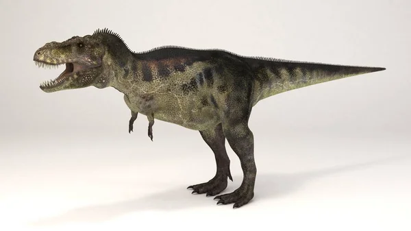 Dinozor Tyrannosaurus- — Stok fotoğraf