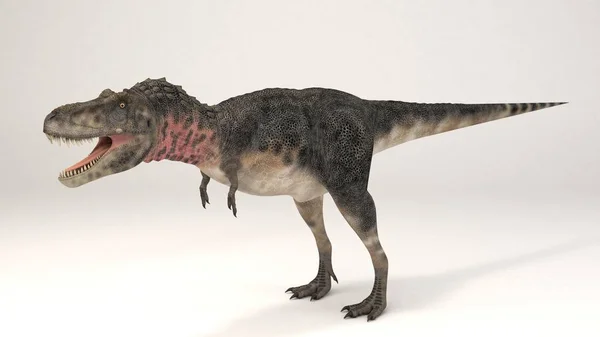 Tarbosaurus - dinosaurie — Stockfoto