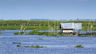 Ban Thale Noi, doğa rezerv, Tayland