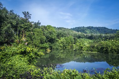 Koh Muk Island, Tayland Trang il