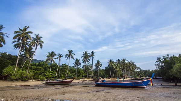 Koh Muk Island, Tayland Trang il — Stok fotoğraf