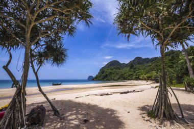 Tayland Koh Muk Plajı