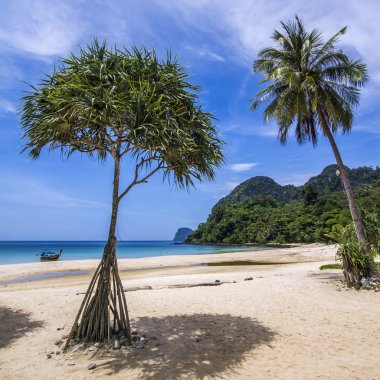Tayland Koh Muk Plajı