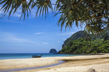 Tayland Koh Muk Plajı