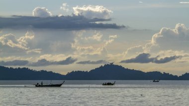 Uzun kuyruklu tekne şapka Chao Mai Milli Parkı, Tayland