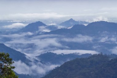 Dağ panoramik Ella, Sri Lanka