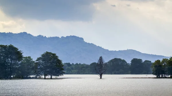 Paisaje del parque nacional Uda walawe, Sri Lanka — Foto de Stock