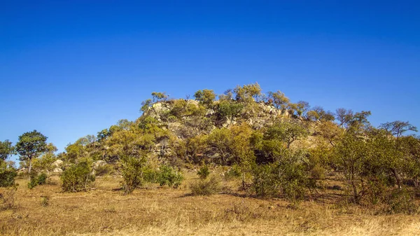 Pedra em Kruger National Park, África do Sul — Fotografia de Stock