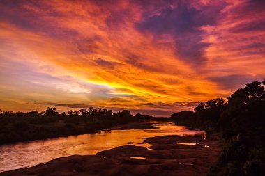 Sunrise sahne Kruger National park, Güney Afrika