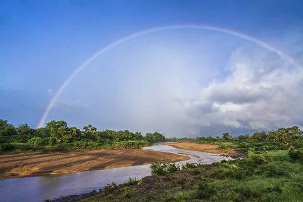 Paysage dans la rivière Shingwedzi dans le parc national de Kruger, Afrique du Sud — Photo