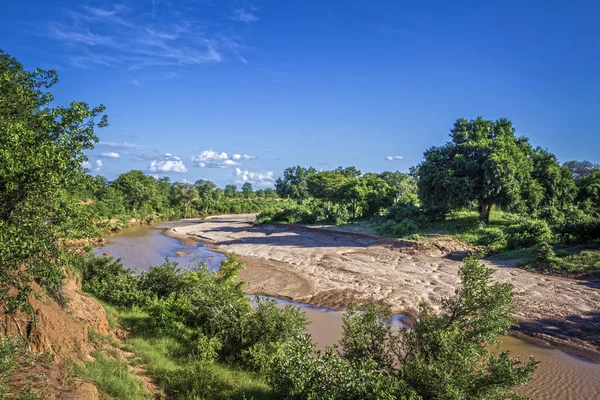 panoramik Kruger National park, Güney Afrika