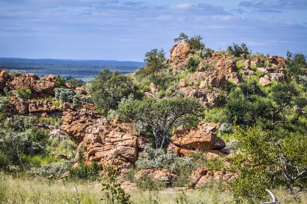 Dekoracje w Boulder w Mapungubwe National park, Afryka Południowa — Zdjęcie stockowe